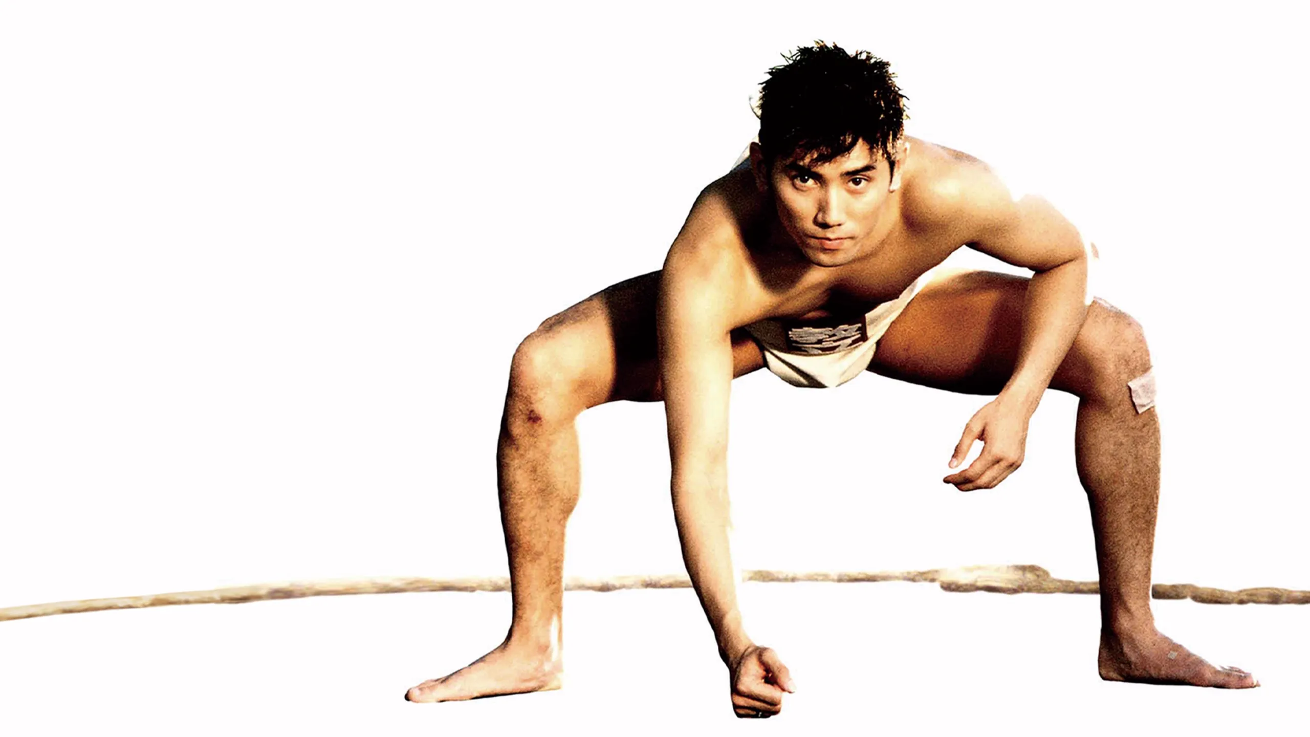 Sumo Do, Sumo Don't