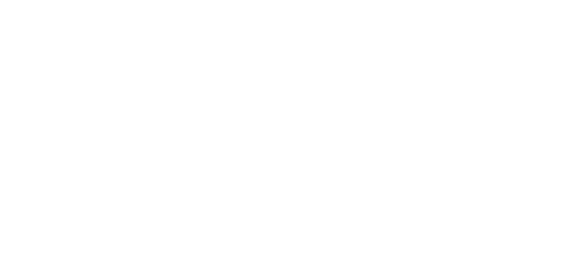The Good Son