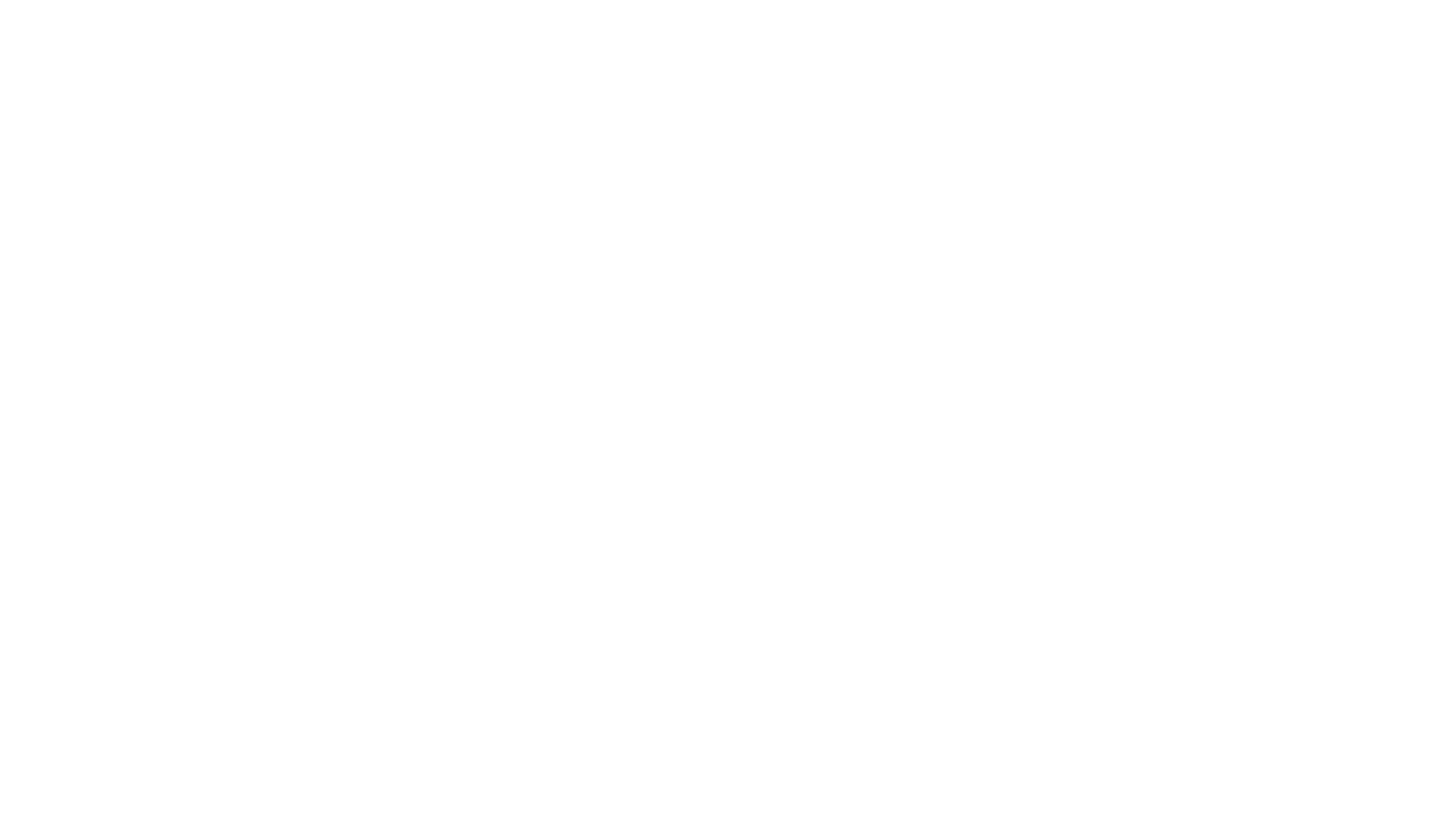 Kung Pow: Enter the Fist