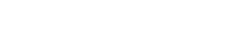 De magiska skorna