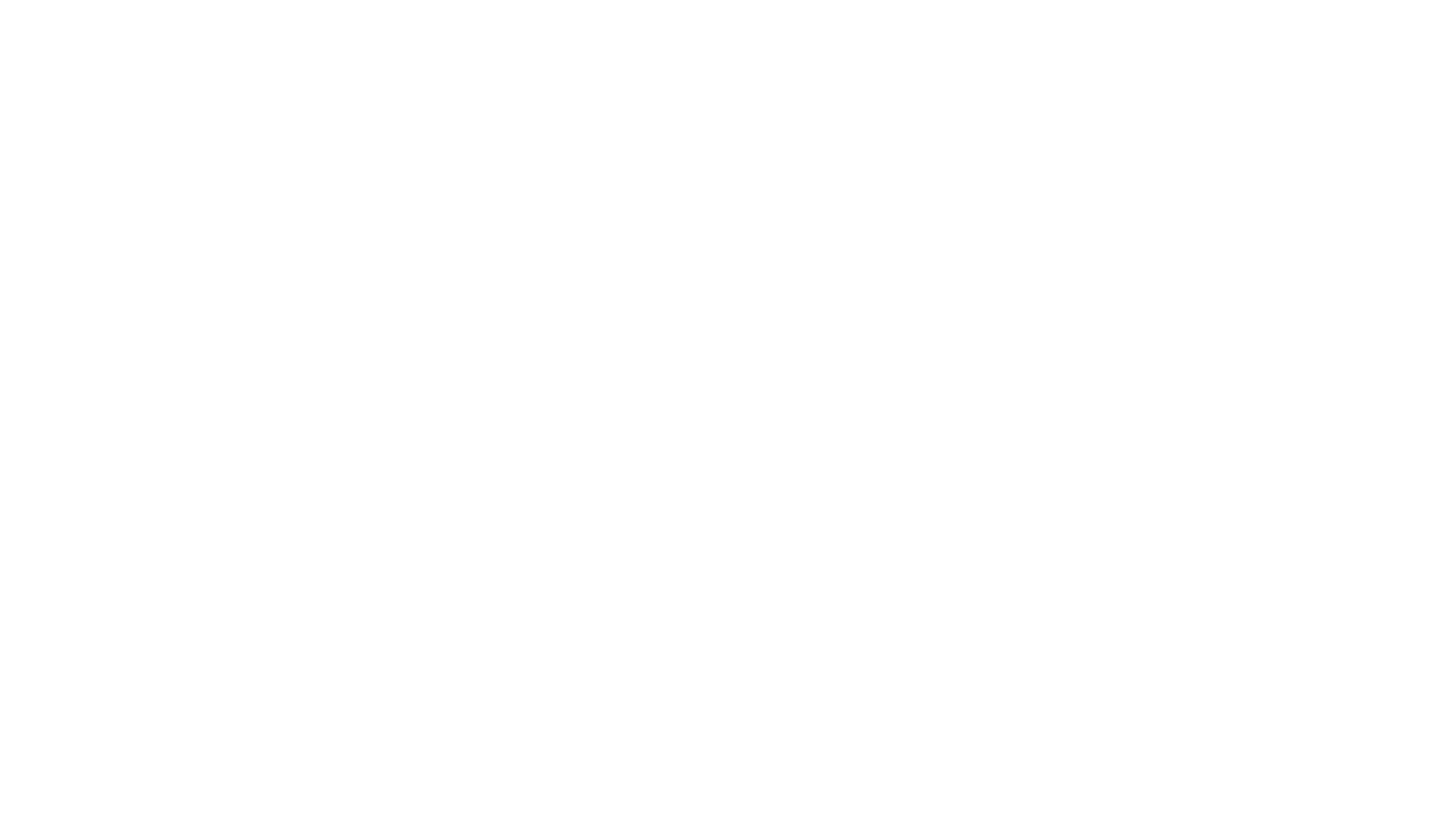Enzo - ihmisen paras ystävä