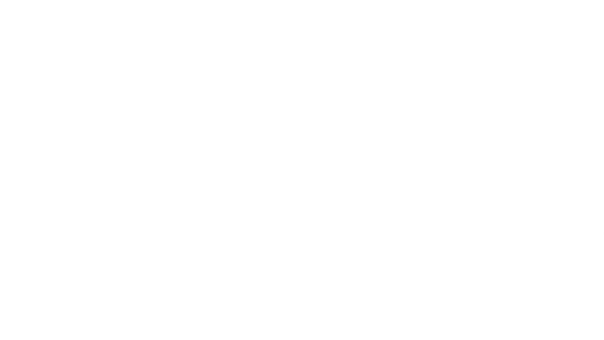 Enzo - ihmisen paras ystävä