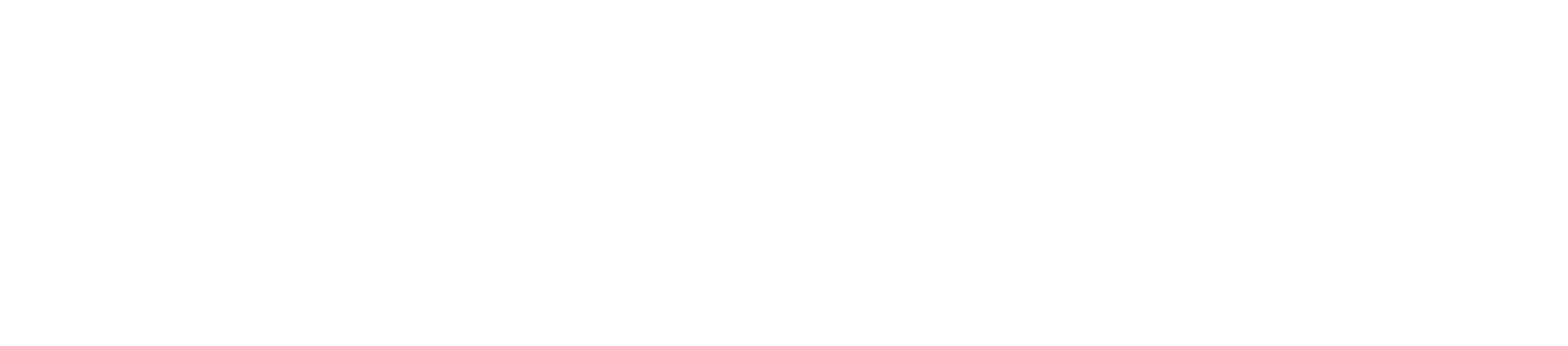Enzo - ihmisen paras ystävä