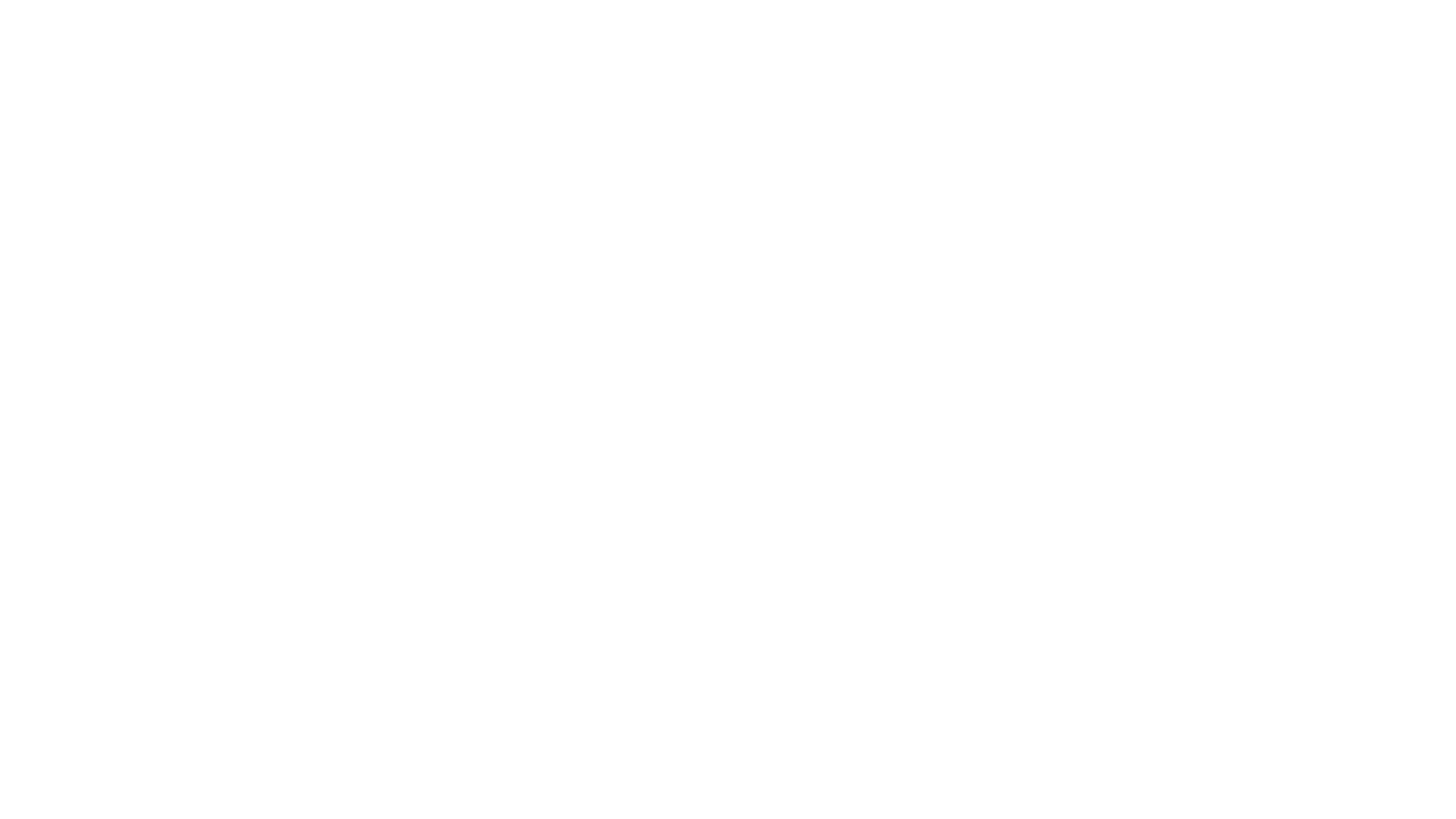 Enzo und die wundersame Welt der Menschen