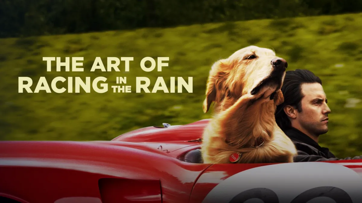 Watch The Art of Racing in the Rain | Disney+