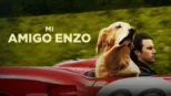 thumbnail - Mi amigo Enzo