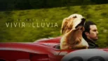 thumbnail - El arte de vivir bajo la lluvia