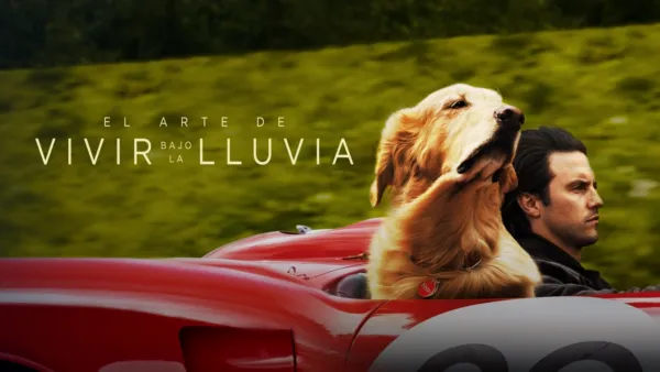 thumbnail - El arte de vivir bajo la lluvia