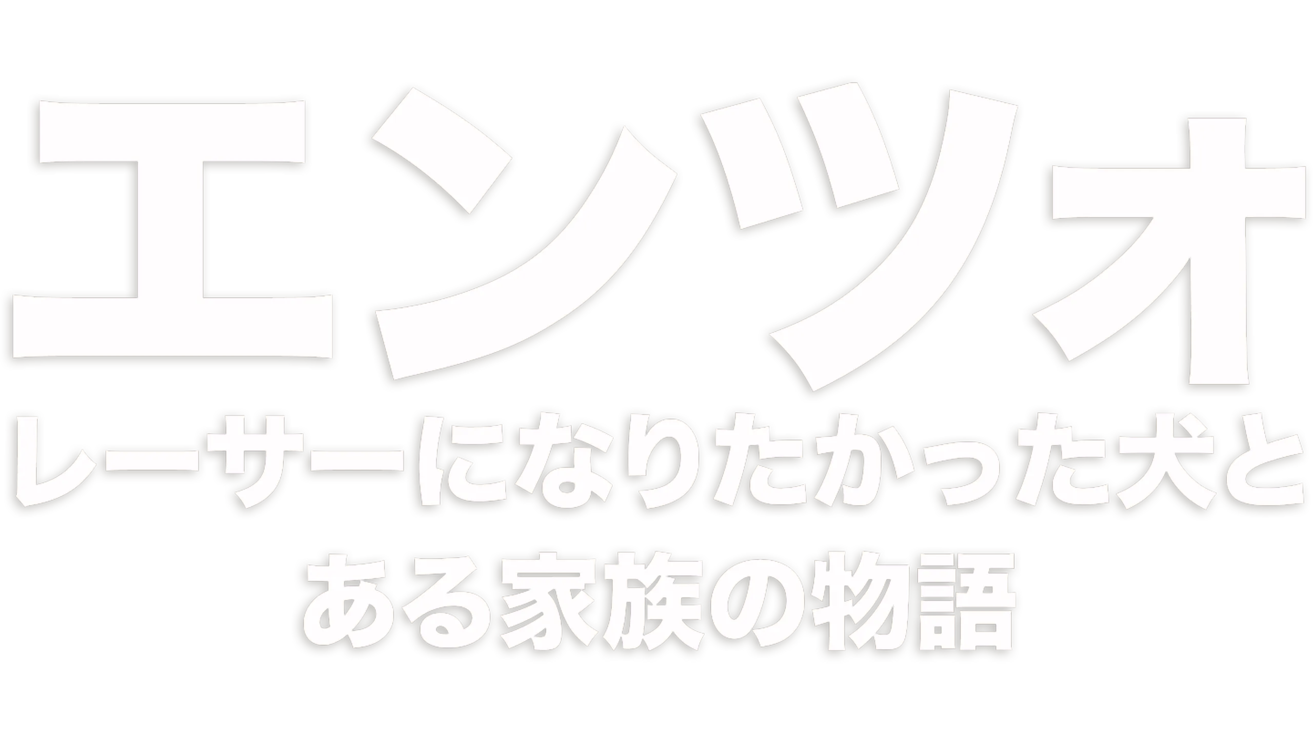 エンツォ　レーサーになりたかった犬とある家族の物語