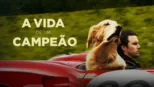 thumbnail - A Vida de um Campeão
