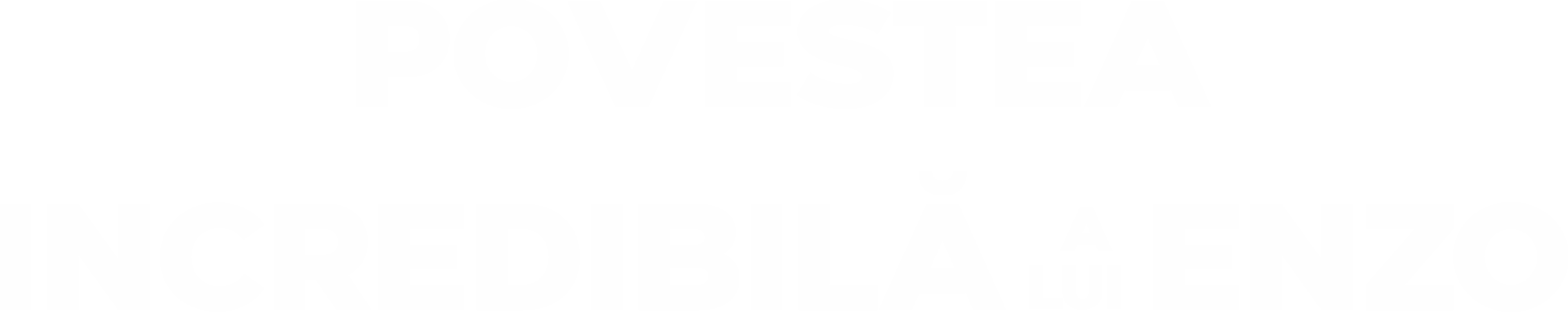 Povestea incredibilă a lui Enzo
