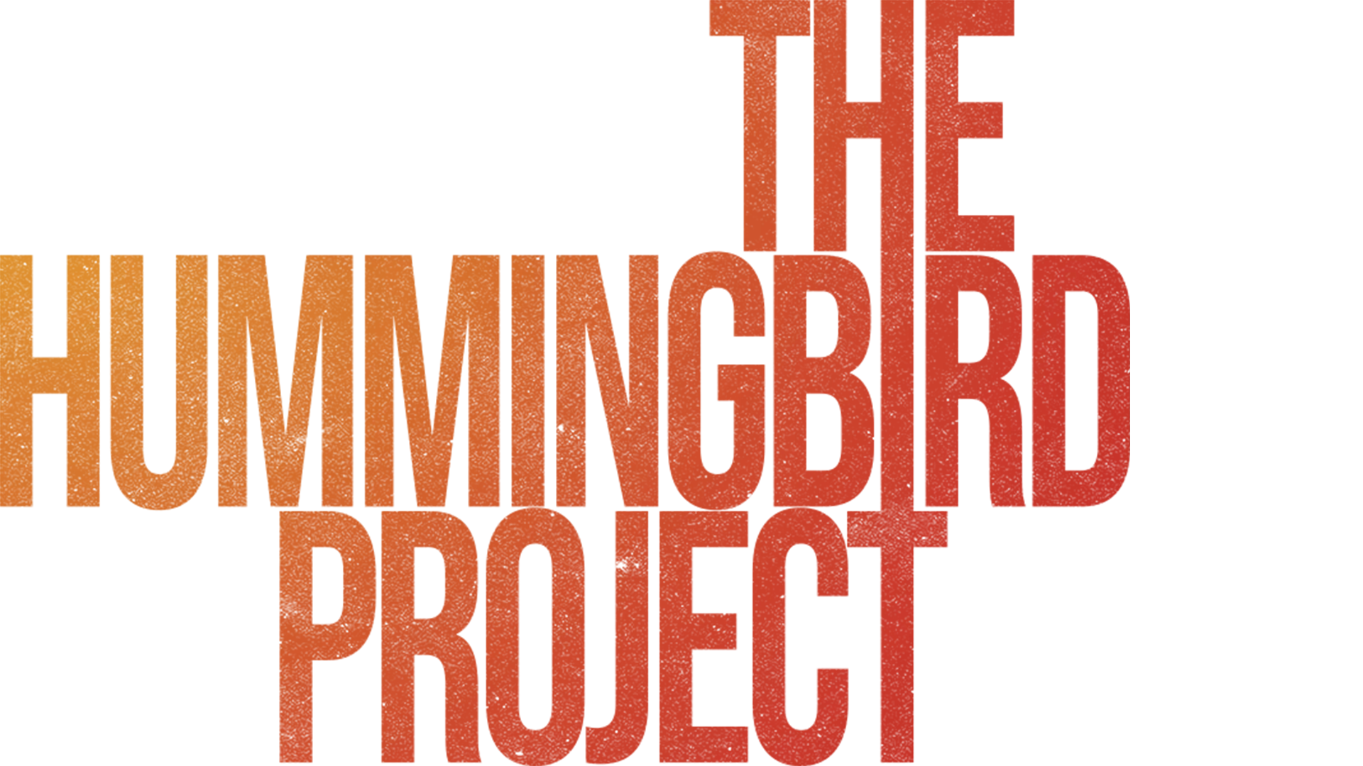 The Hummingbird Project