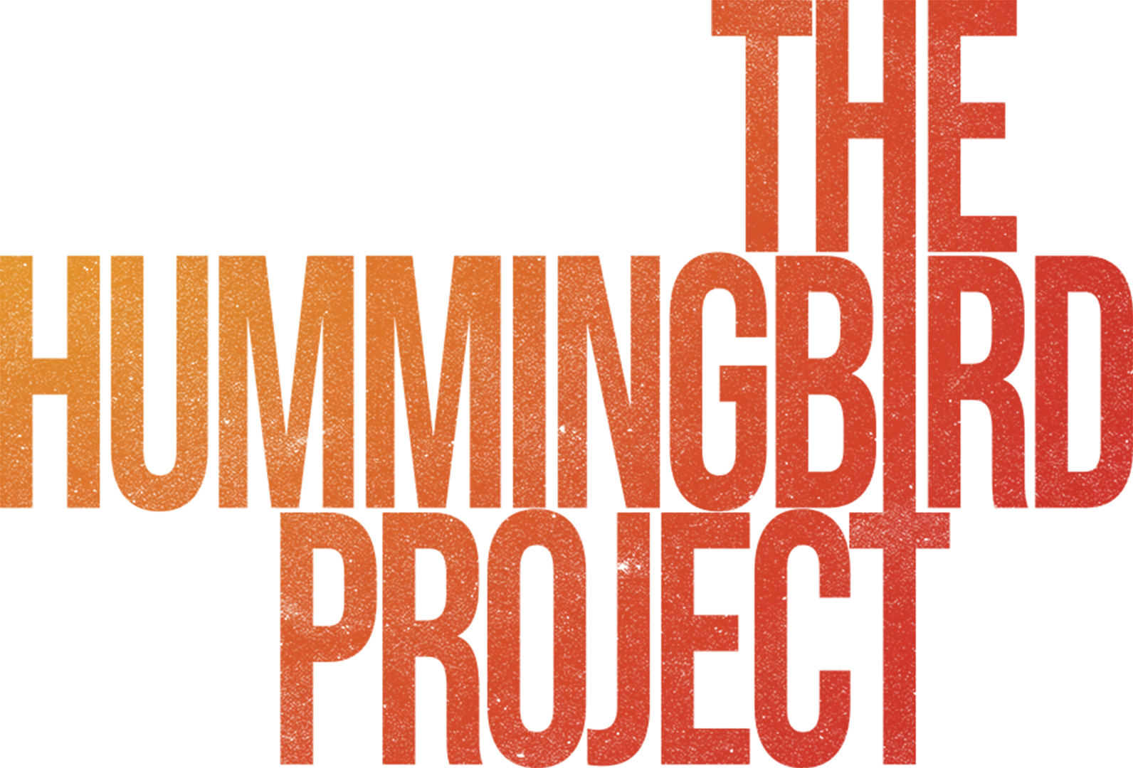 The Hummingbird Project