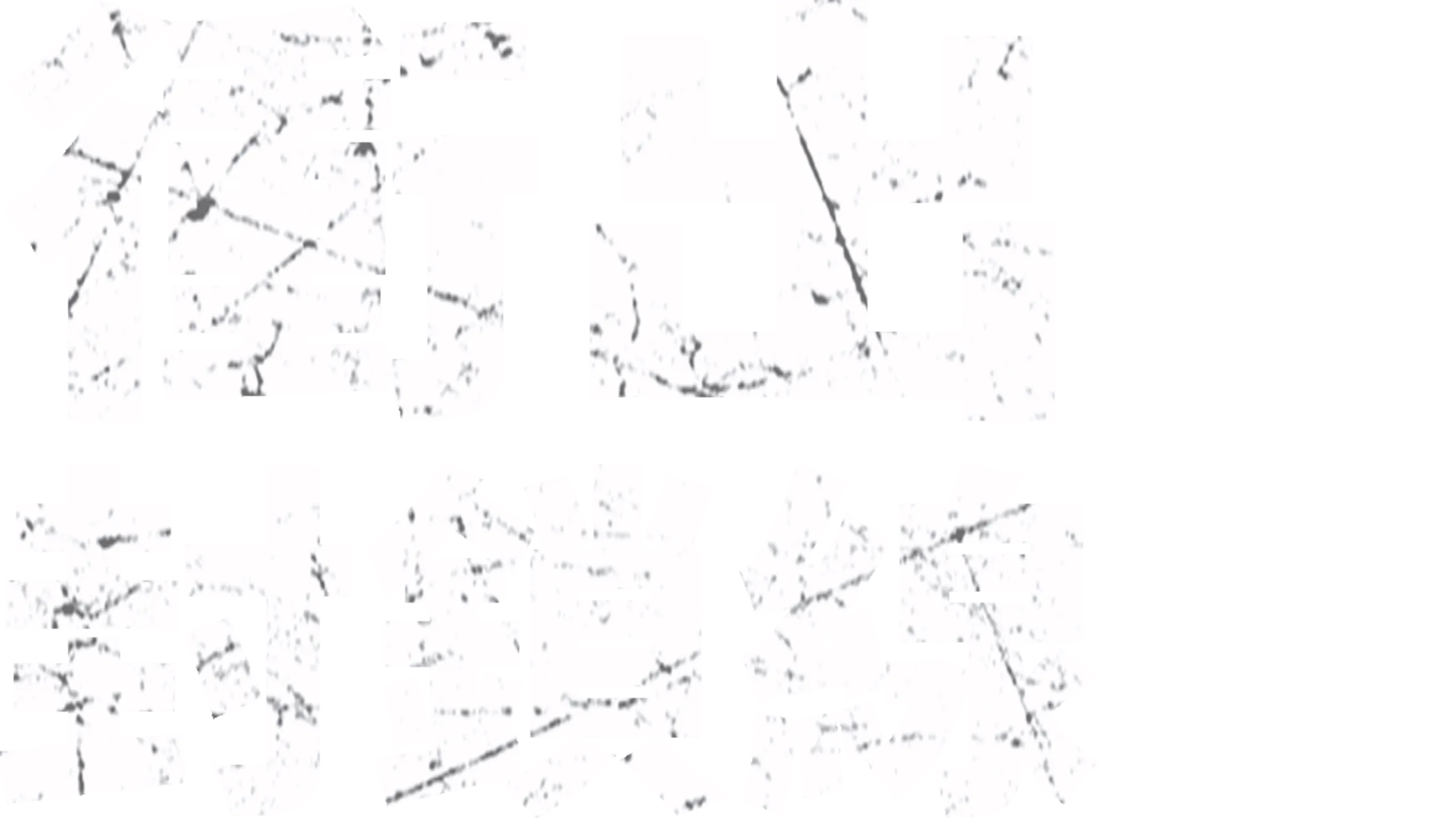 衝出封鎖線