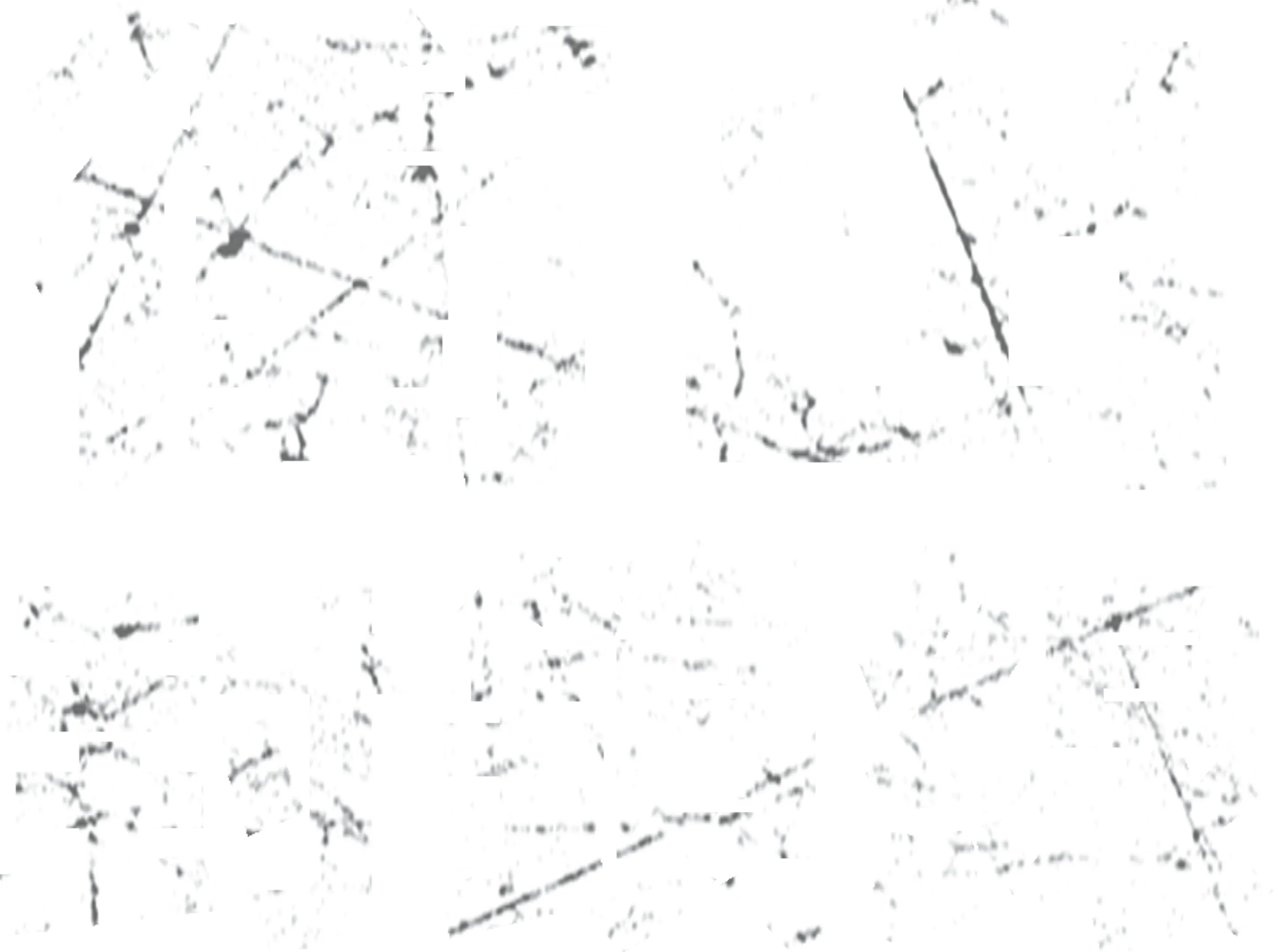 衝出封鎖線