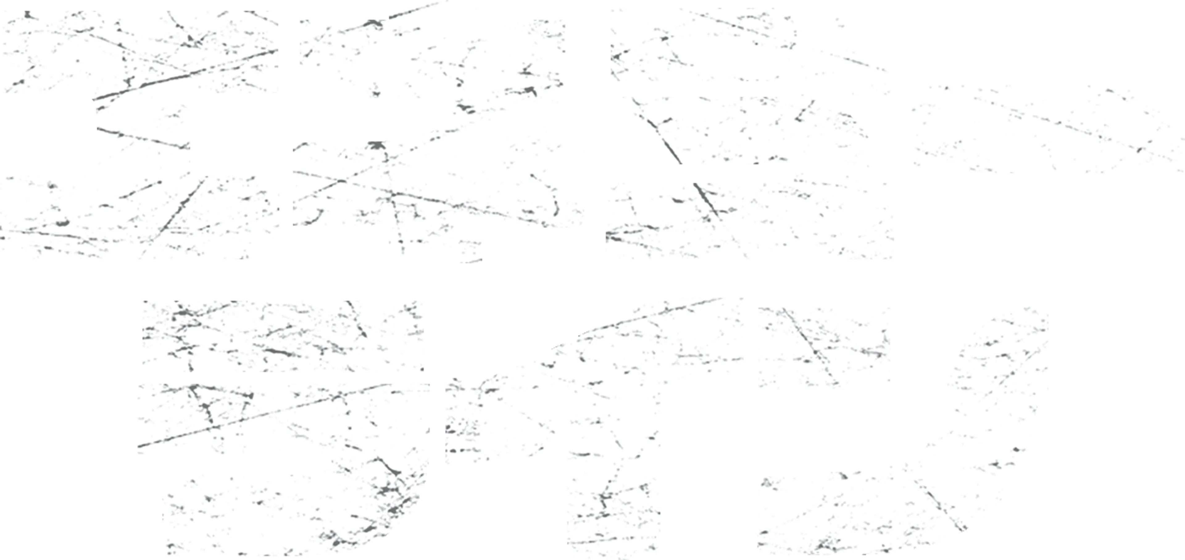 エネミー・ライン