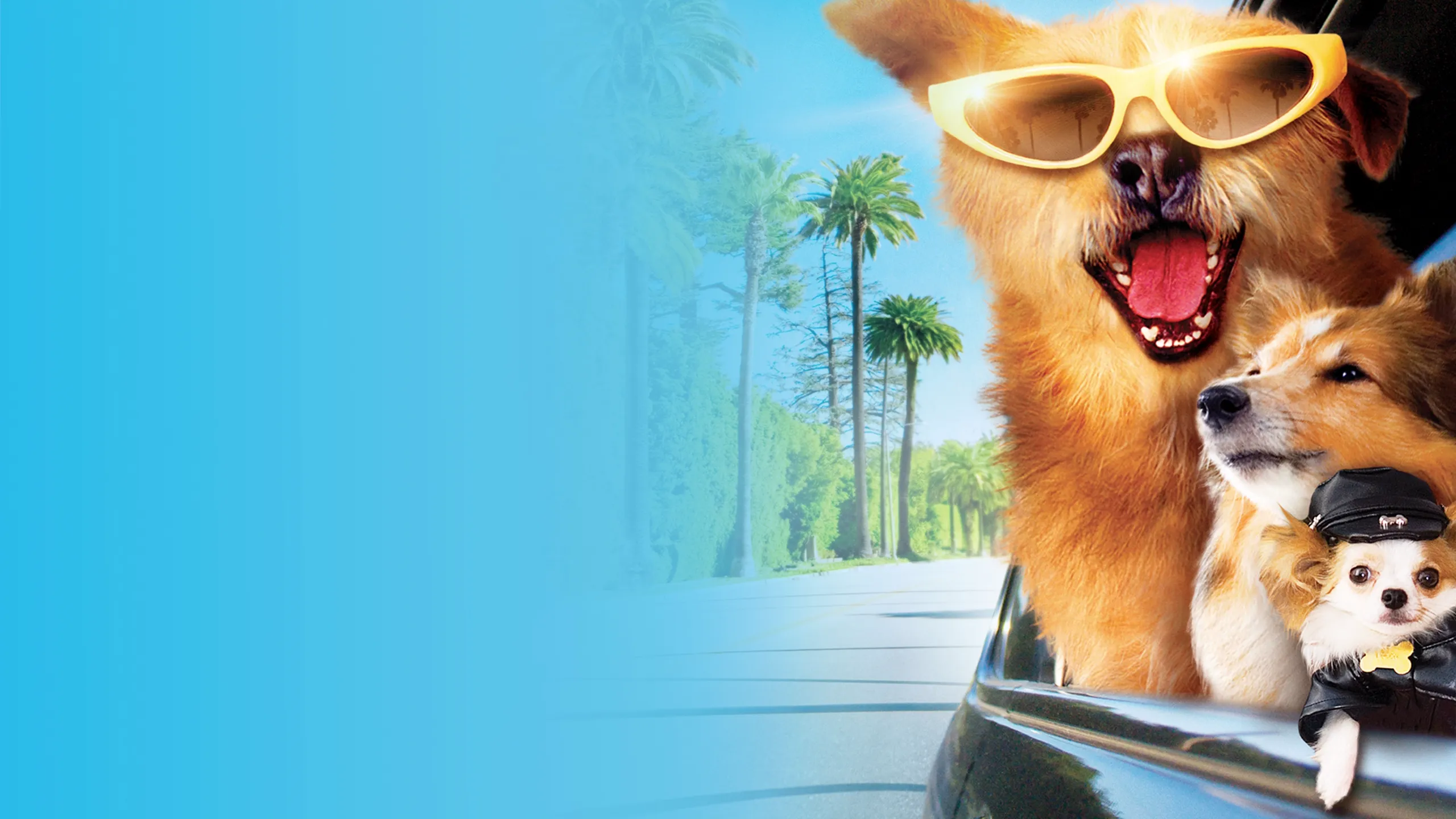 怪医杜立德：百万傻蛋