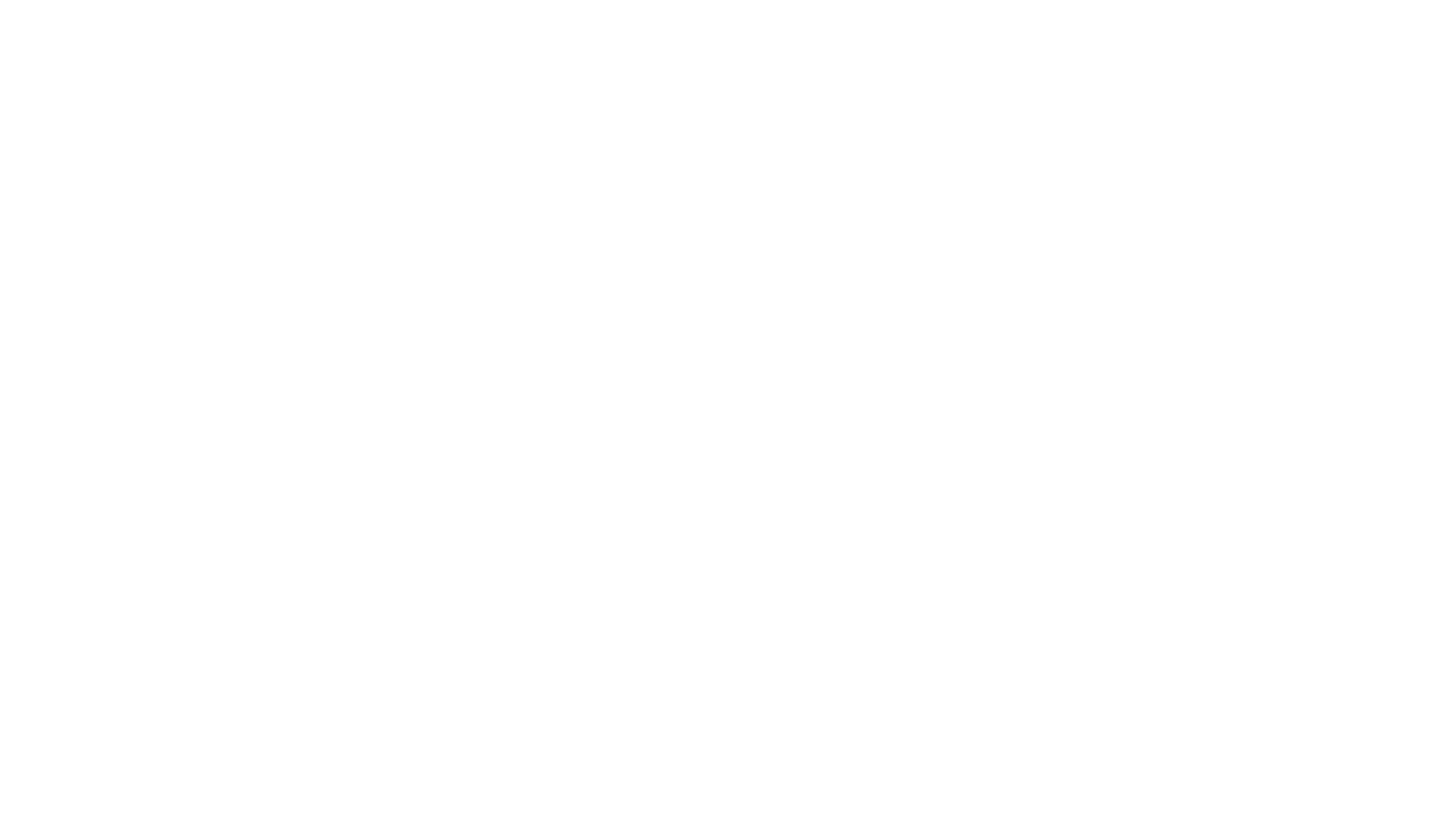 Die Wilden Kerle 5