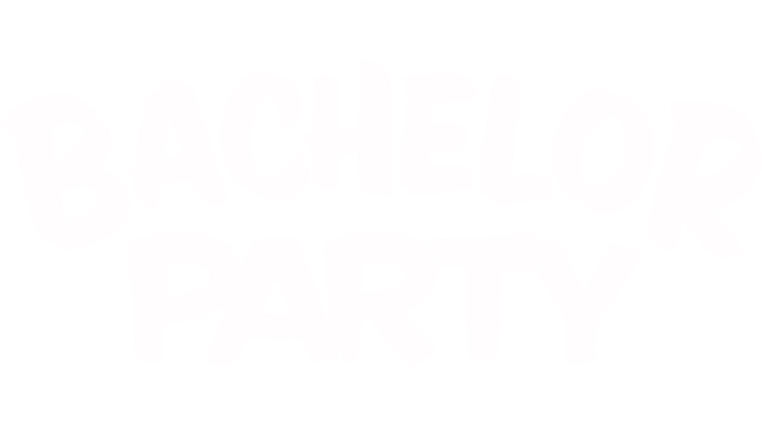 Bachelor Party