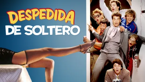 thumbnail - Despedida de soltero
