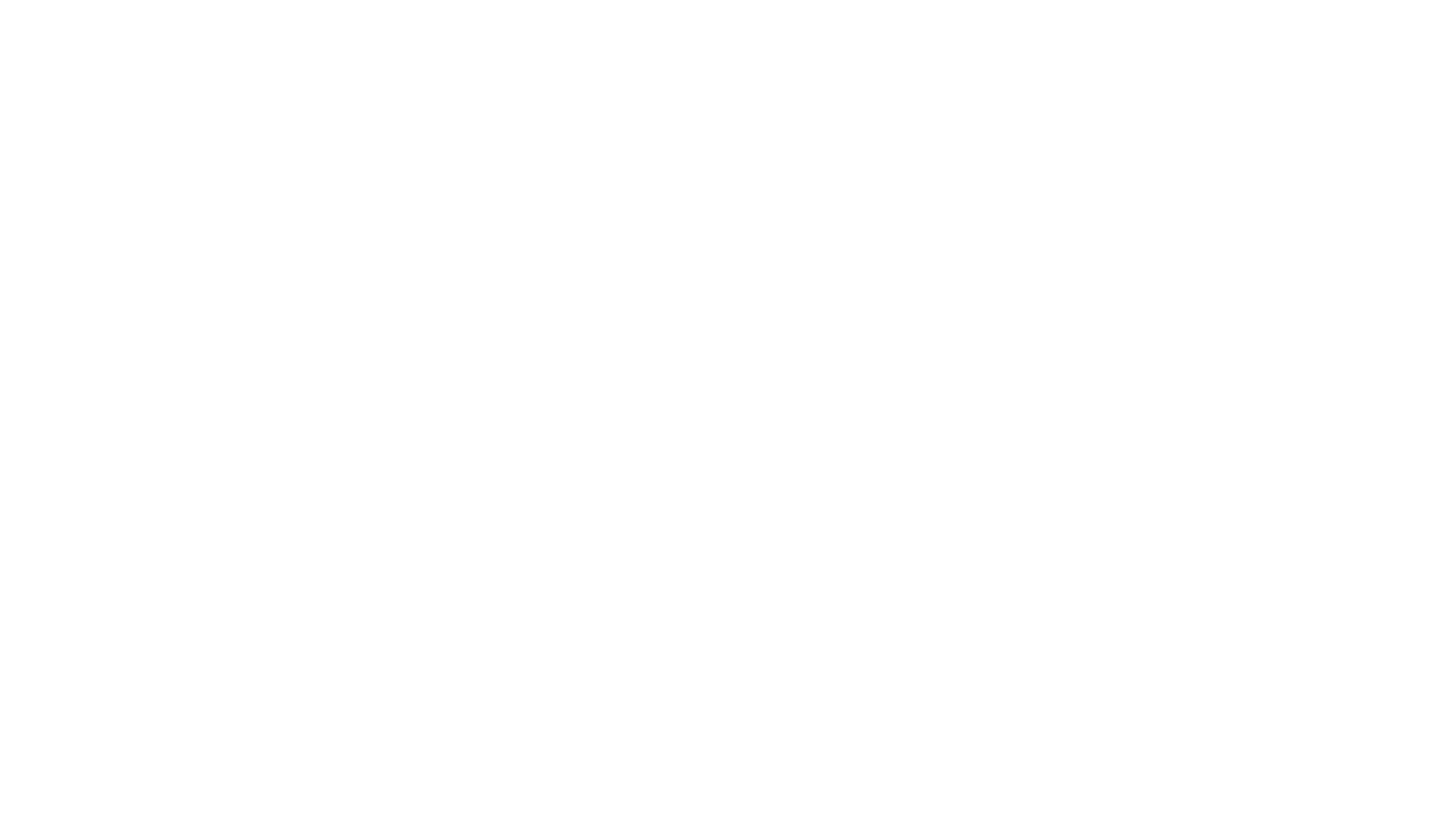 The Leopard