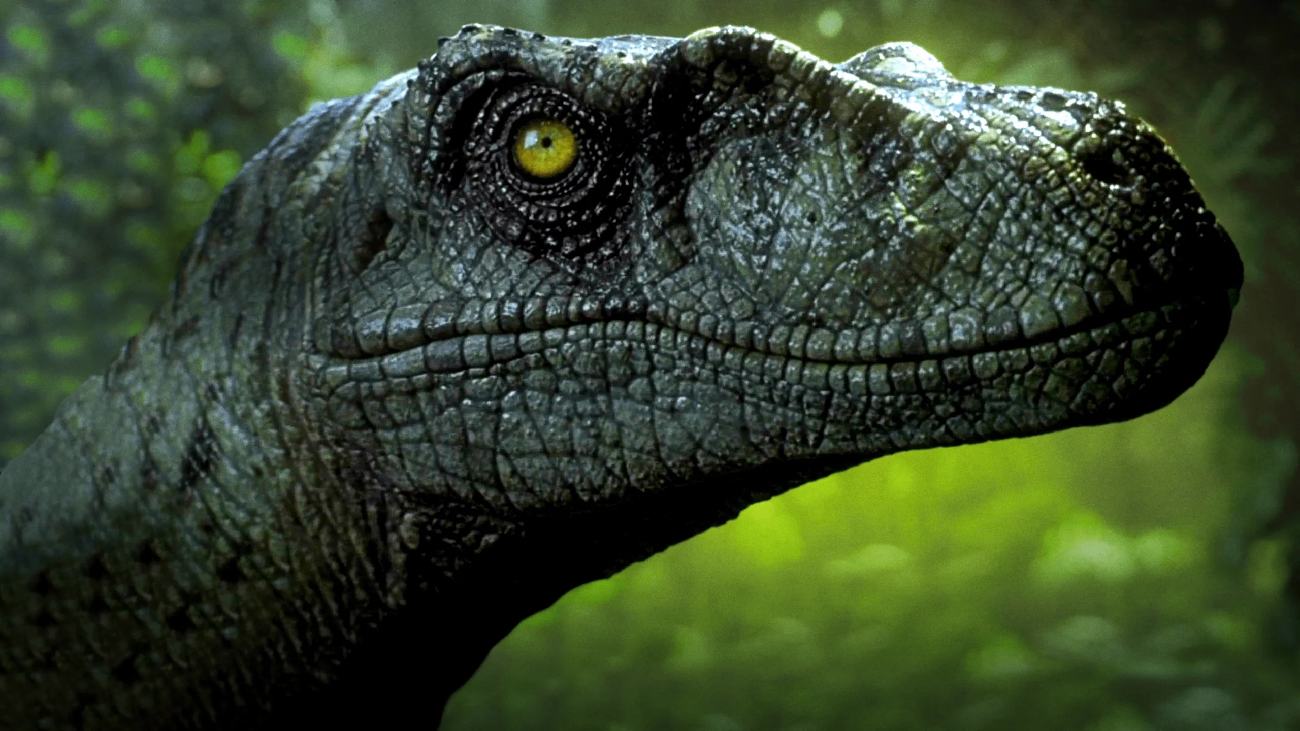 El mundo perdido: Jurassic Park