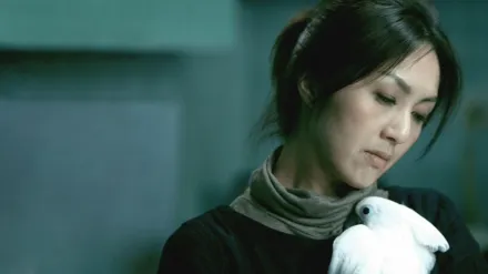 She Remembers, He Forgets