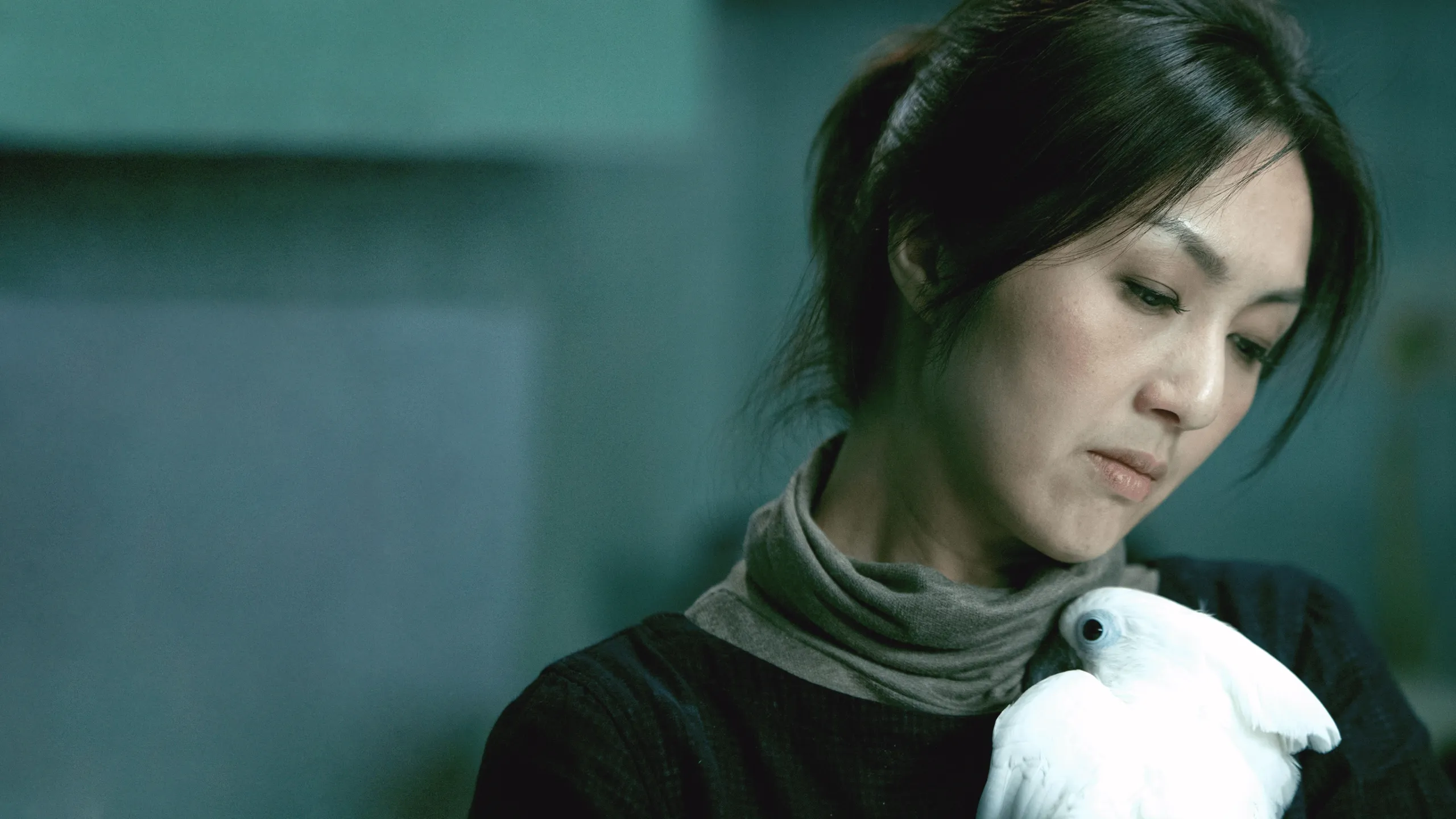 She Remembers, He Forgets