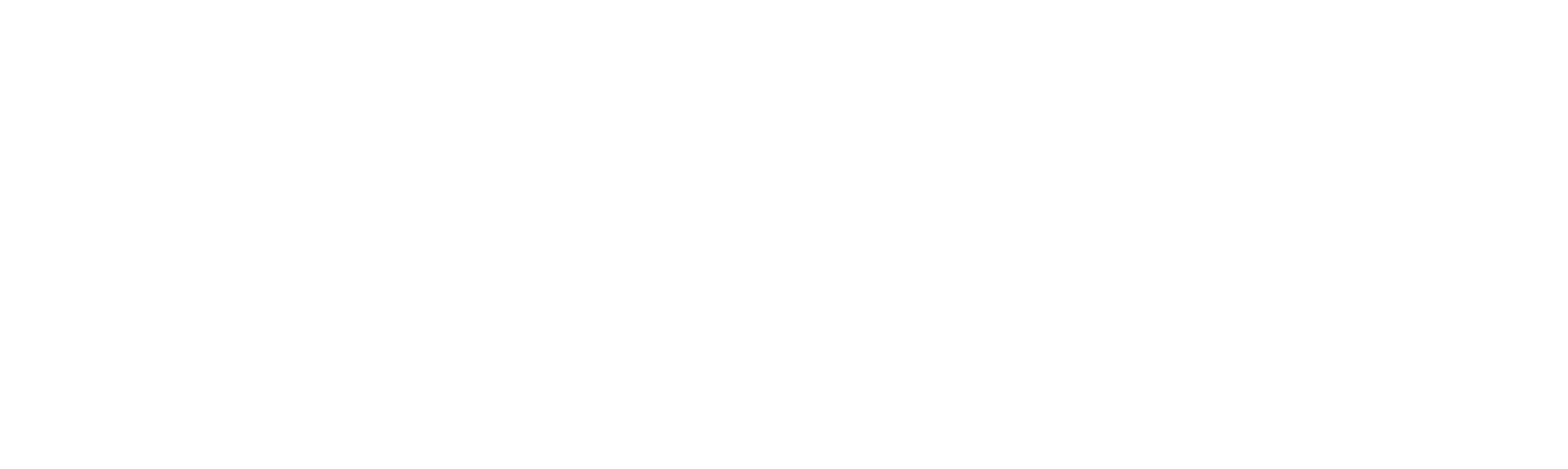 Run Coyote Run