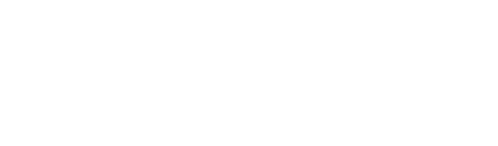 Tokyo Raiders