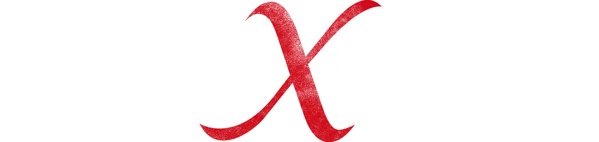 嫌疑人X的獻身