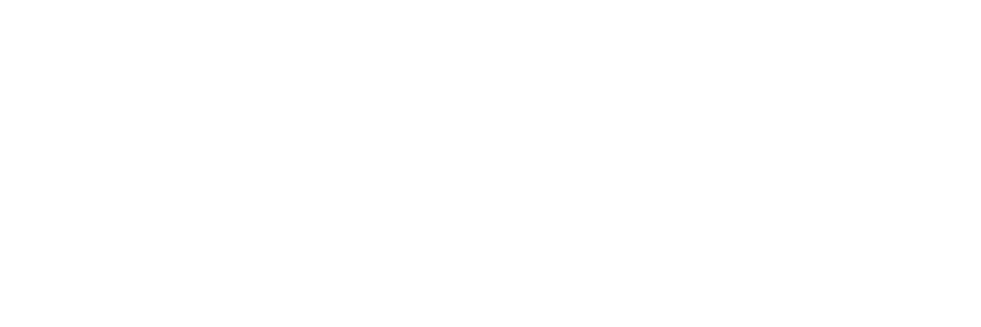 Crazy Companies 2