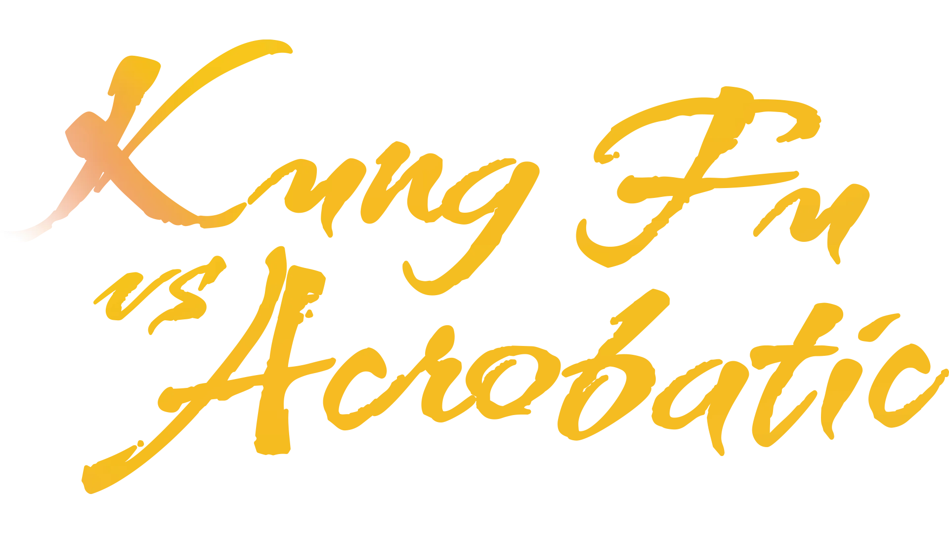 Kung Fu vs Acrobatic