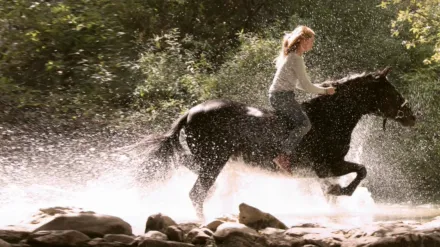 Ostwind - Aufbruch nach Ora