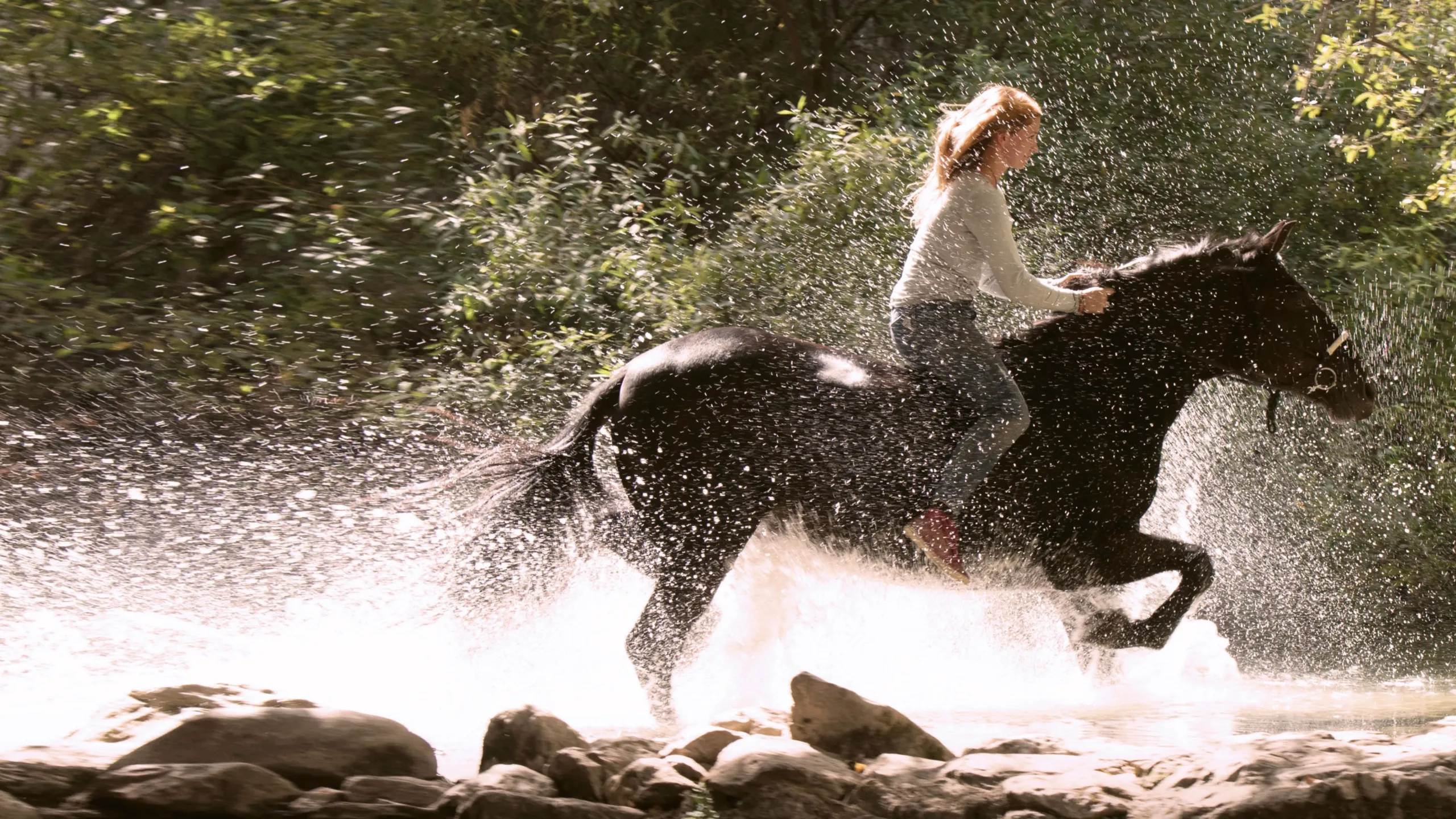 Ostwind - Aufbruch nach Ora