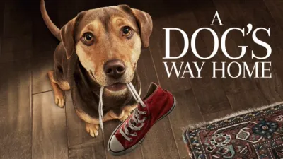 A Dog's Way Home