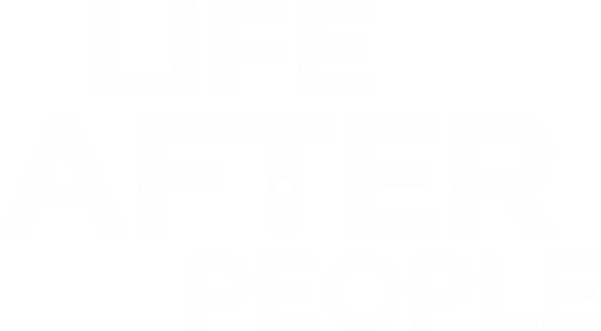 Life After People