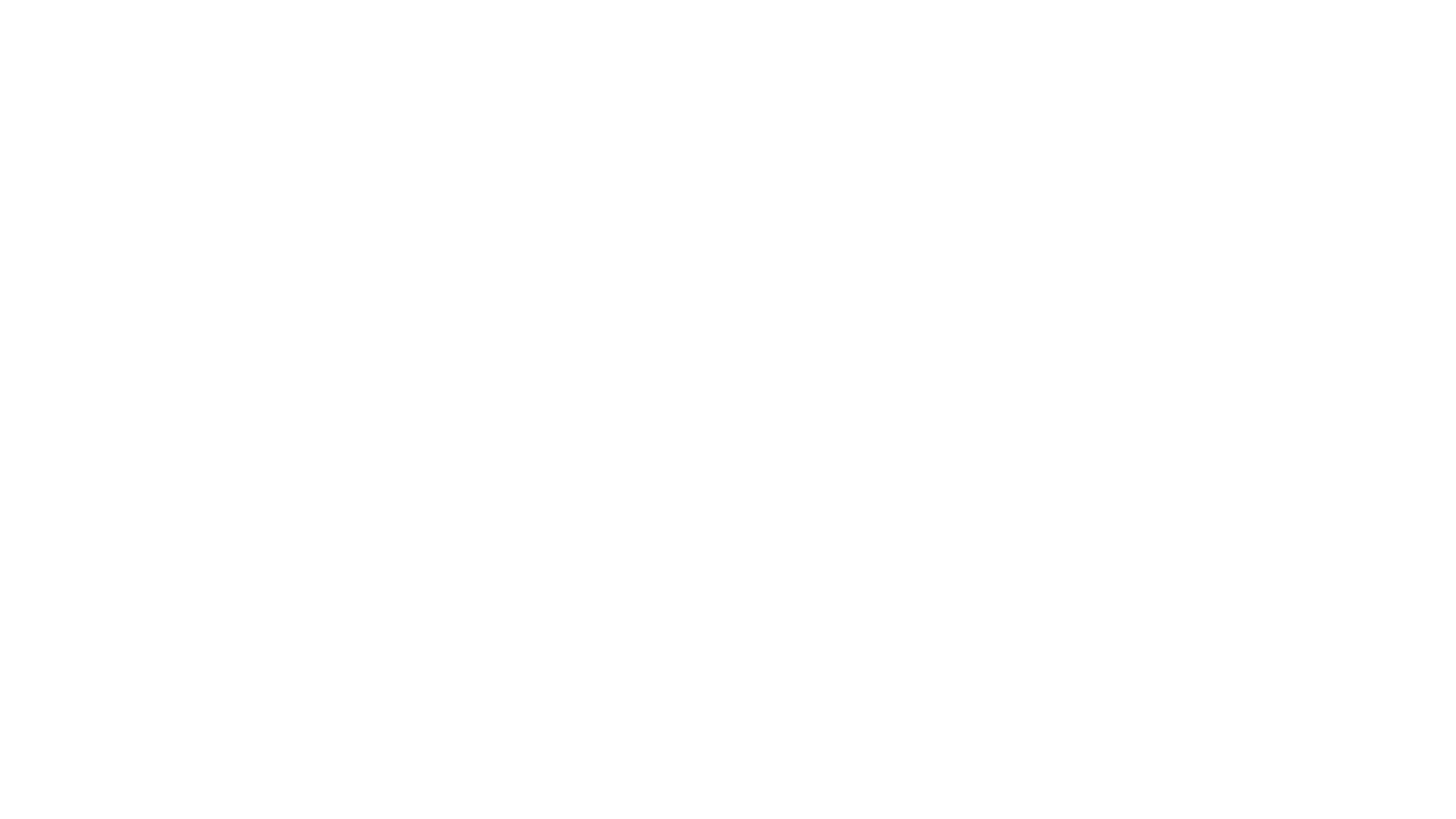The Bodyguard