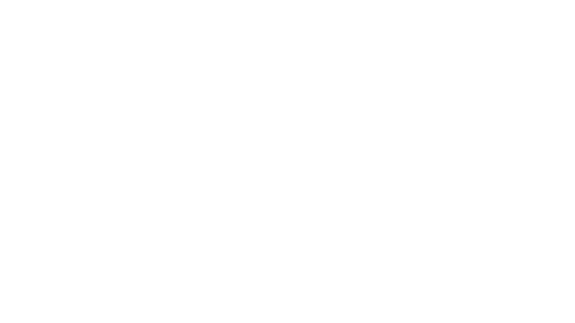 Extreme Job