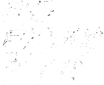 我是自願讓他殺了我
