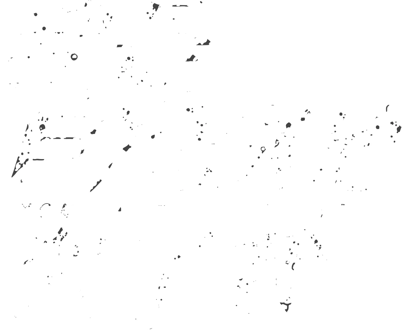 我是自願讓他殺了我