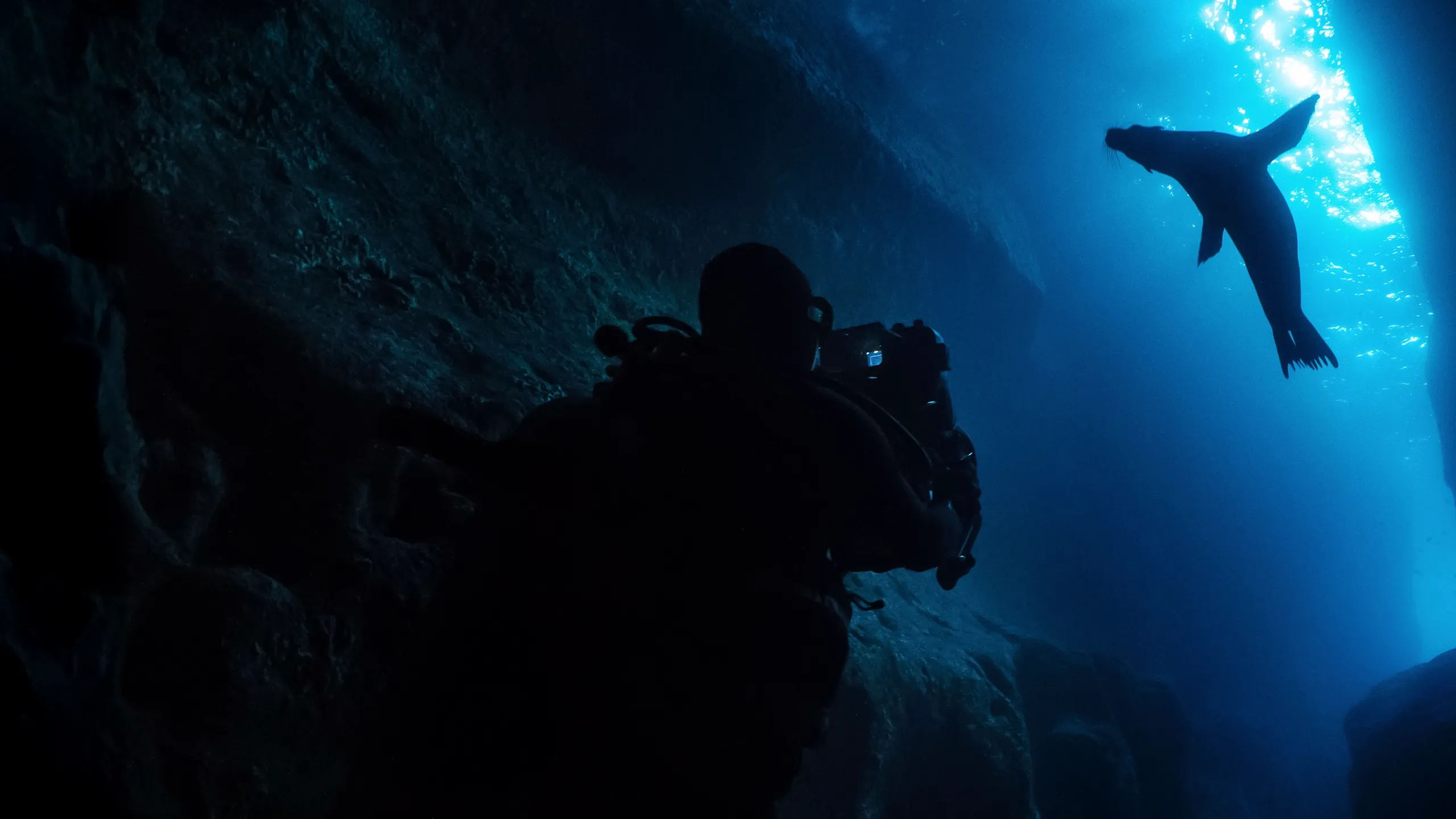 Guardians of the Galapagos