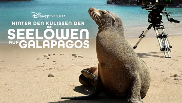 thumbnail - Hinter den Kulissen der Seelöwen auf Galapagos