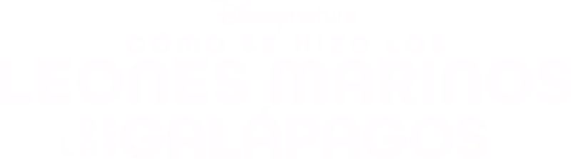 Cómo se hizo Los leones marinos de las Galápagos