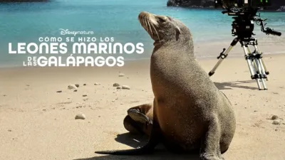 Cómo se hizo Los leones marinos de las Galápagos
