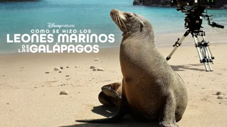 thumbnail - Cómo se hizo Los leones marinos de las Galápagos
