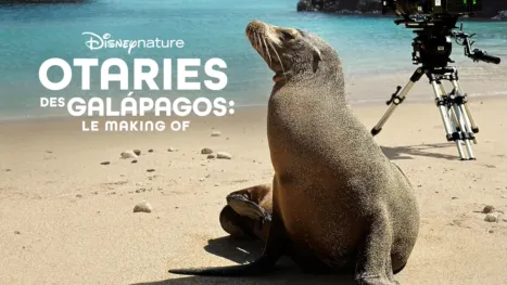 thumbnail - Otaries des Galápagos : Le Making Of