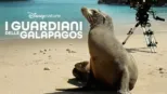 thumbnail - I Guardiani delle Galapagos