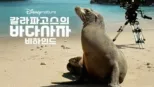 thumbnail - 갈라파고스의 바다사자 비하인드