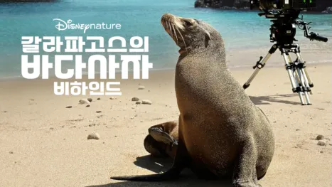 thumbnail - 갈라파고스의 바다사자 비하인드